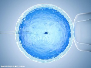 借卵代生包女孩代生包成功